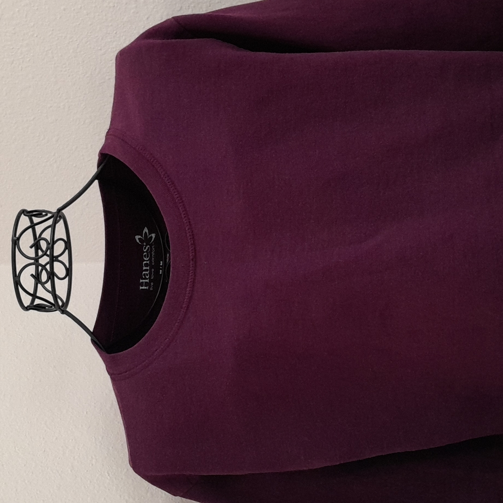 Hane's Crop Top Sweatshirt